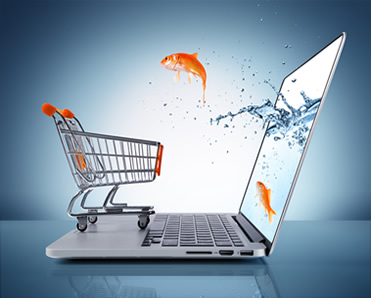 E-Commerce - Magazin Online